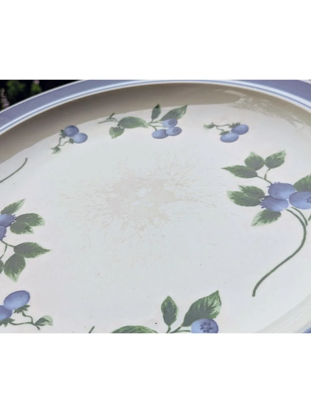 Vintage L.L. Bean Blueberry Dinner Plates, 11